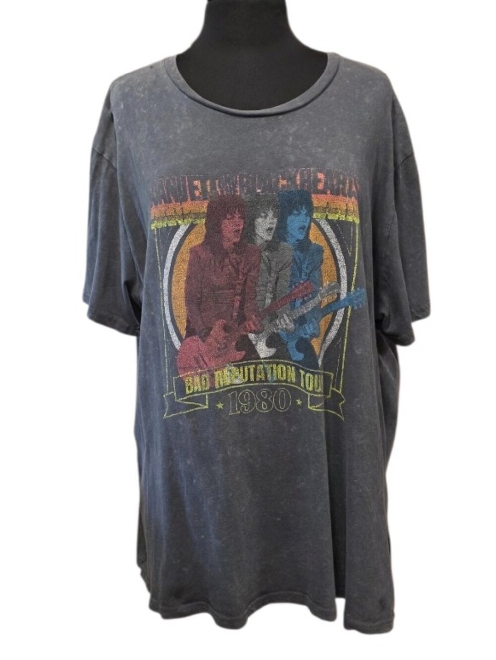 Joan Jett Band Tee Gray Soft Graphic Short Sleeve Tee - Bad Reputation Tour 1980